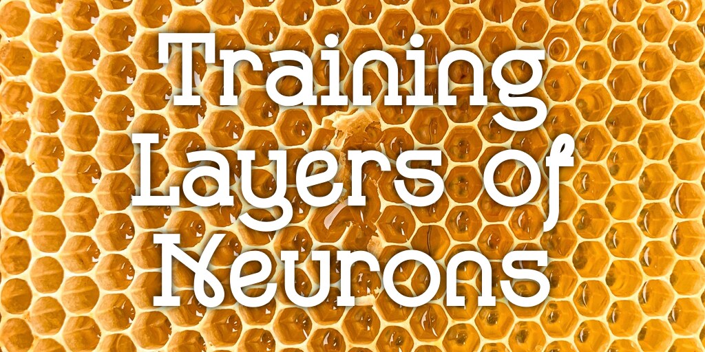 Training layers of neurons